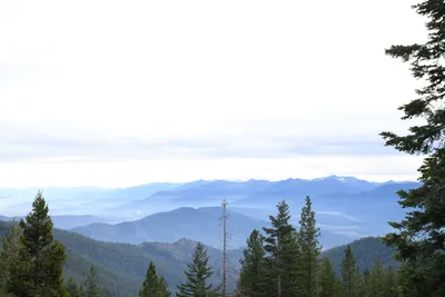 DSC_0072 (Large).JPG